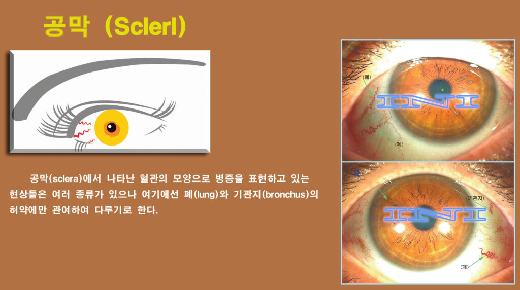 d874 좌 30 공막 복사